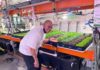 Farm to able: Nonprofit is using vertical farming to train adults on autism spectrum to work in agriculture