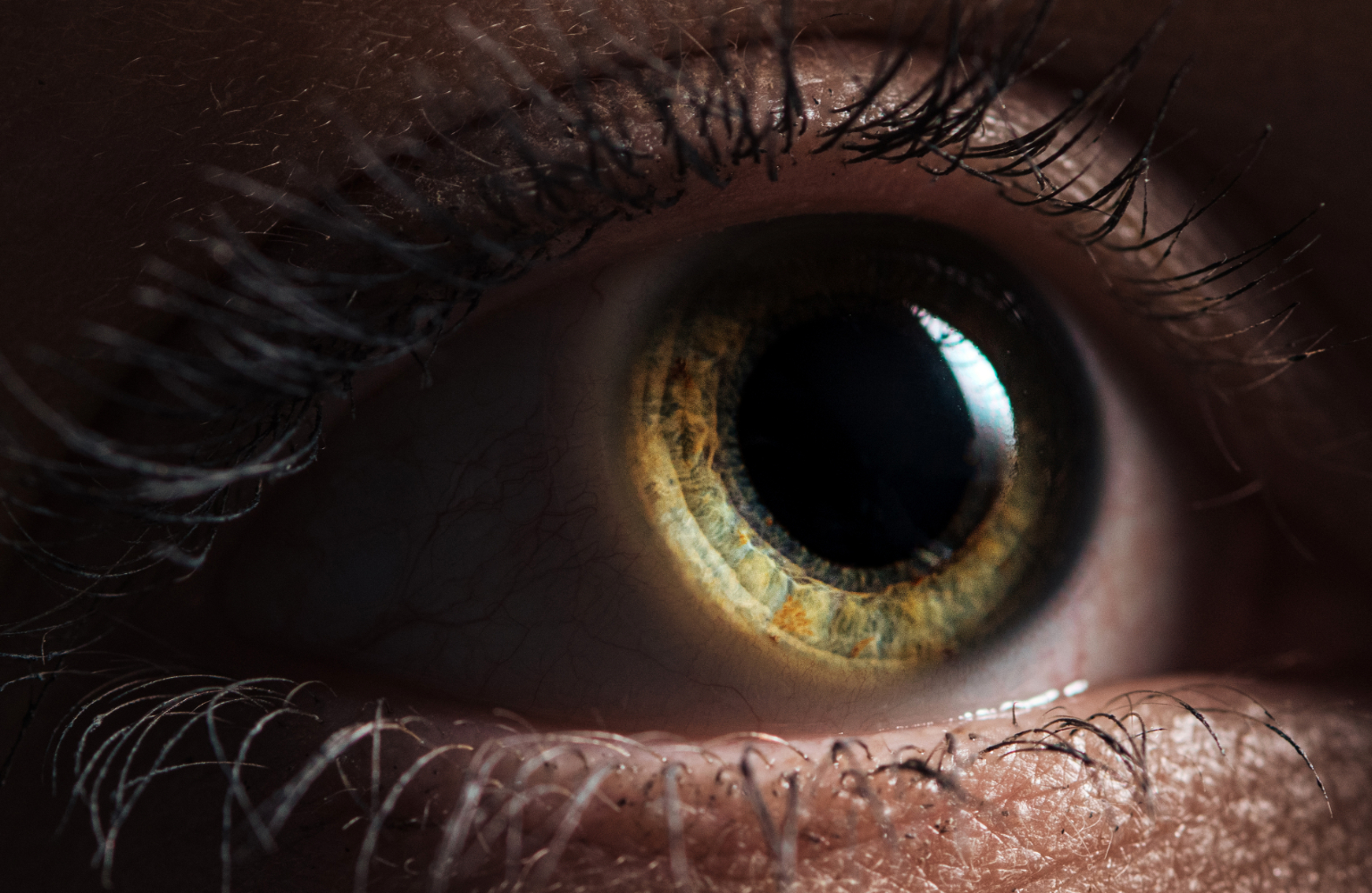 Valley Health System announces opening of Glaucoma Center of Excellence ...