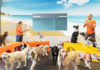 Dogtopia agreement brings 4 new dog day cares to New Jersey and New York