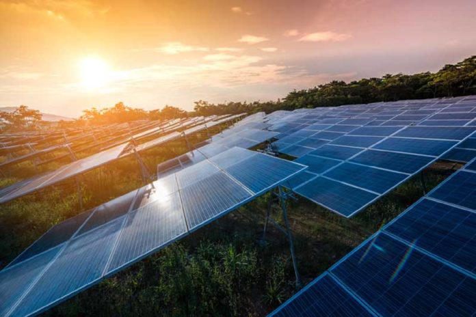 Suntuity University and Hoymiles partner to provide training for clean ...