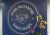 Women-led dispensary Pure Blossom now open in Pennington