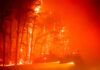 Insurance companies offer advice for wildfire season