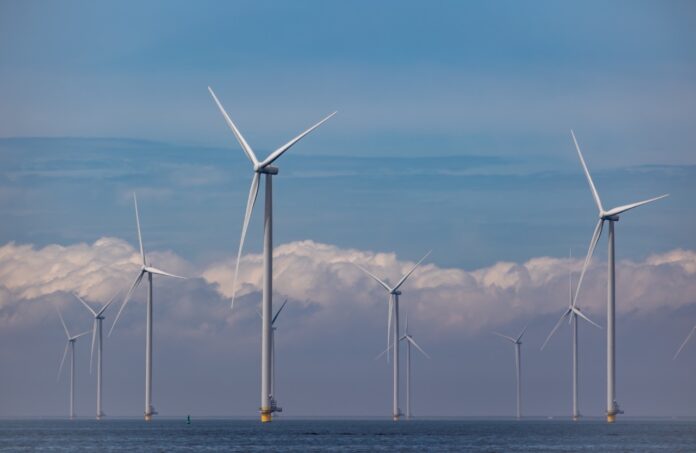 Offshore-Wind-Alliance-head-says-combating-misinformation-is-top-priority