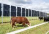 Rutgers is mixing solar energy and modern farming practices_1