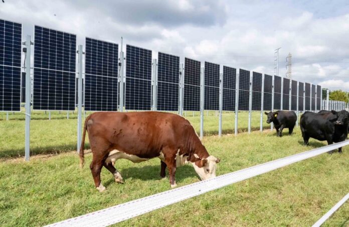 Rutgers is mixing solar energy and modern farming practices_1