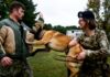 Dogs of war and dogs of peace serve their purpose at Joint Base MDL