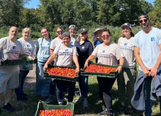 Blue Foundry Charitable Foundation awards grants, donations to 11 N.J. nonprofits in the third quarterÂ