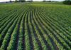 N.J. Treasury to launch online portal for Farmland Assessment applications in 2026